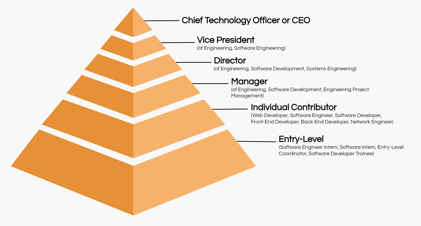 Tech Career Path to a CEO